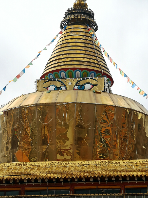 聖なるチベット仏教世界ガワ/四川省アバ県の大僧院・おすすめ宿とは？